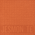 50% OFF Jesmonite AC730 Kit